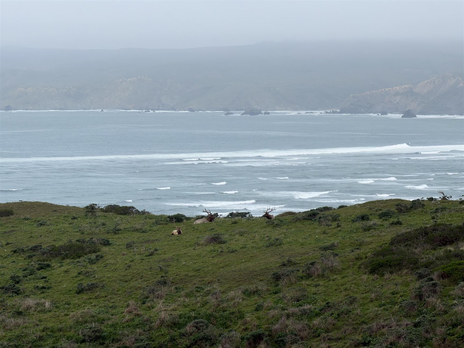 The coastline at Point Reyes